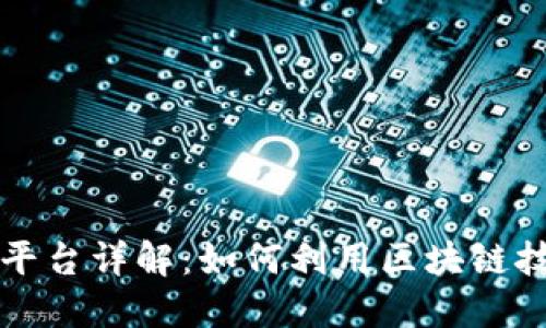 区块链地址查询平台详解：如何利用区块链技术进行地址查询