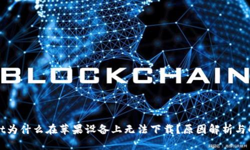 TPWallet为什么在苹果设备上无法下载？原因解析与解决方案