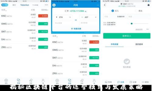 
揭秘区块链平台的运营模式与发展策略