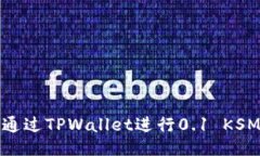 如何通过TPWallet进行0.1 K