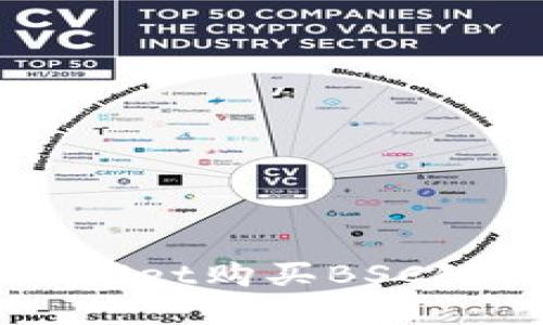 如何通过TPWallet购买BSC链上的数字货币